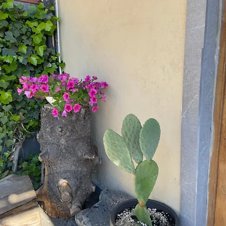 Casetta Sull'etna Chalet