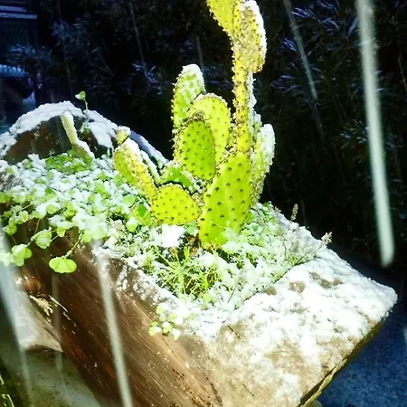 Casetta Sull'etna Domek alpejski
